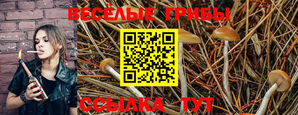 Псилоцибиновые грибы ЛСД Славянск-на-Кубани