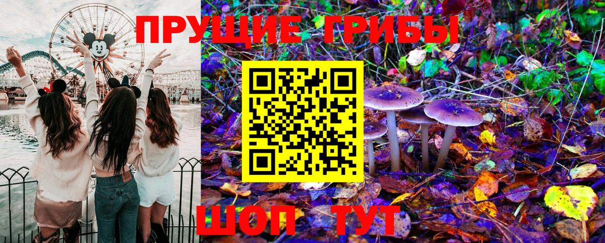 Славянск-на-Кубани  Псилоцибиновые грибы Psilocybine cubensis  Вход с VPN 